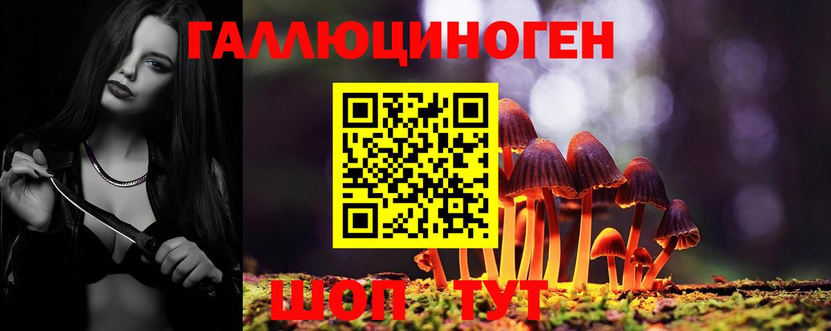 Псилоцибиновые грибы GOLDEN TEACHER  Вход с VPN  Отрадное 